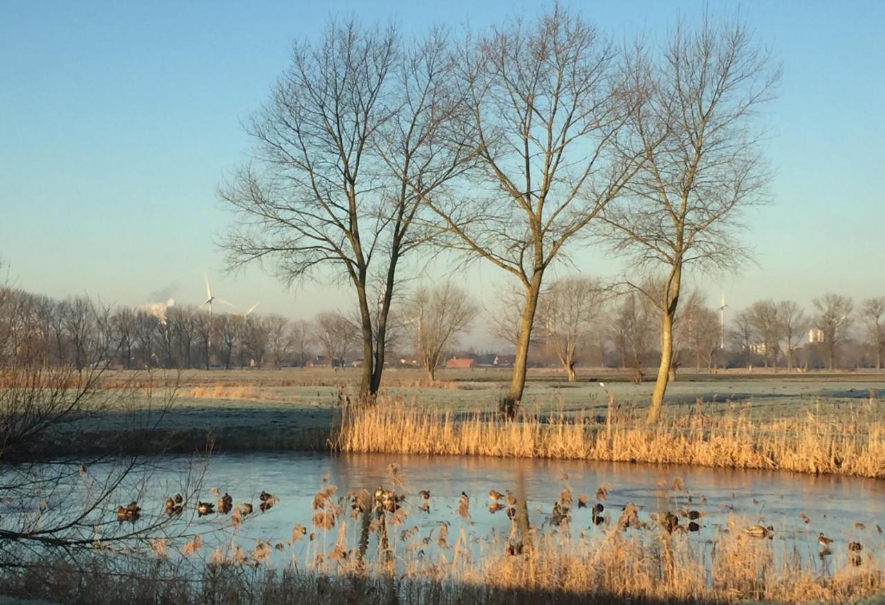 Logies De Meerkoet 布鲁日 外观 照片