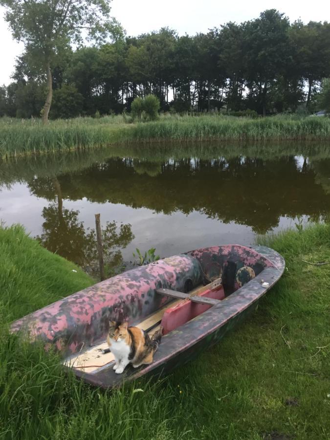 Logies De Meerkoet 布鲁日 外观 照片